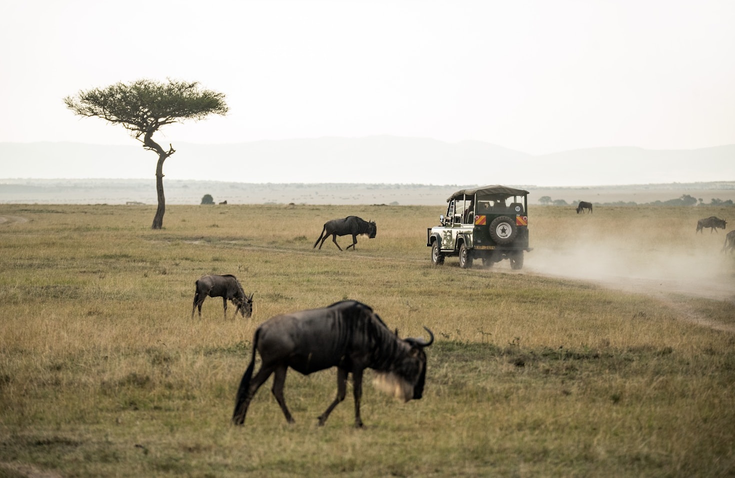 Top 5 Must-Visit Destinations in East Africa