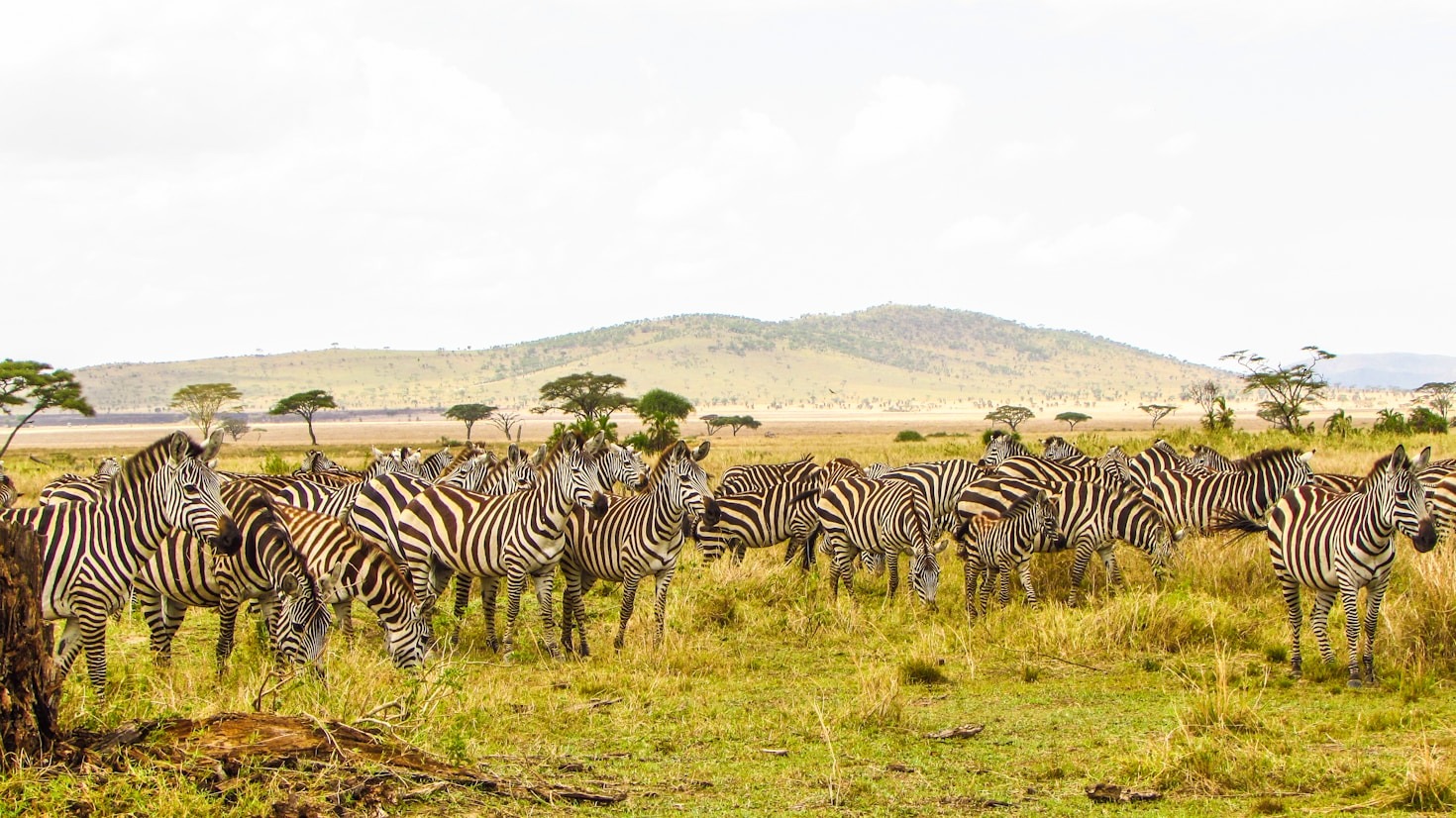 How to Travel Sustainably Through East Africa