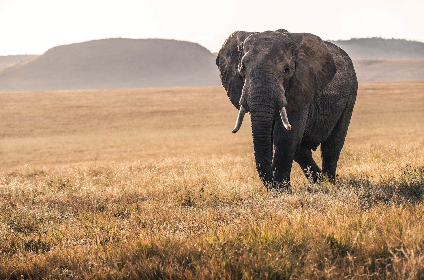 Hidden Gems of East Africa You Need to See