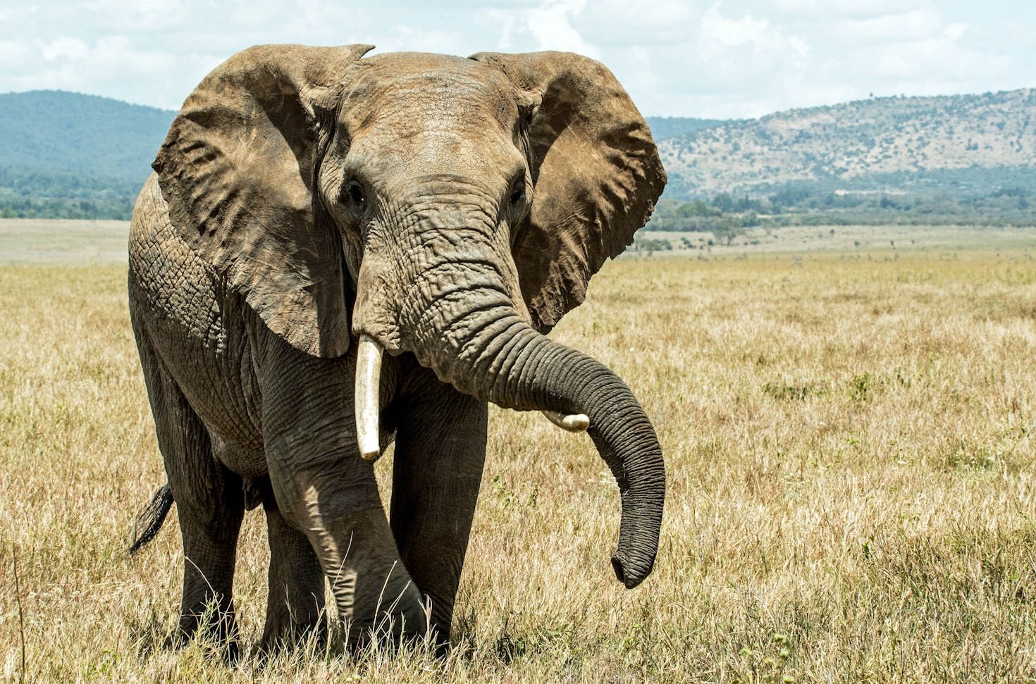Why East Africa Should Be Your Next Adventure